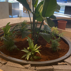 ÖZEL ÜRETİM FİBER SAKSI 6