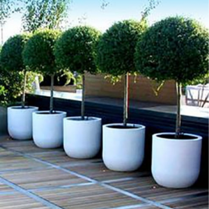 SİLİNDİR FİBER SAKSI 19