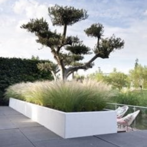 DİKDÖRTGEN FİBER SAKSI 5