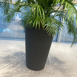 SİLİNDİR KONİK DİBER SAKSI 4