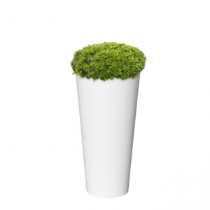 SİLİNDİR KONİK DİBER SAKSI 9