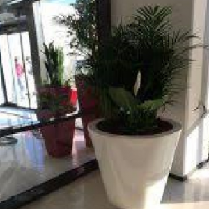 SİLİNDİR KONİK DİBER SAKSI 13